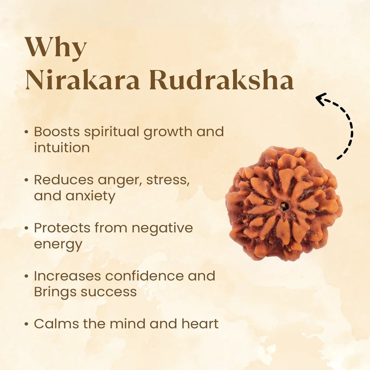 VASTUKOSHA Nepal origin 0 Mukhi Nirakar Rudraksha bead with detailed natural texture for meditation and spiritual use
