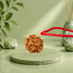VASTUKOSHA Siddh Nepal origin 0 Mukhi Nirakar Rudraksha bead pendant on a red cord for spiritual protection