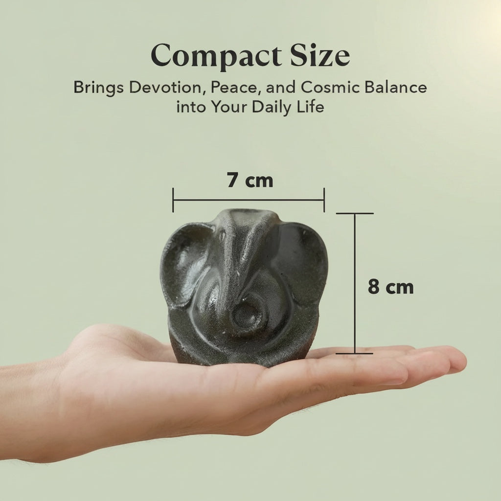 VASTUKOSHA Pyrite Ganesha idol held in a hand, showing compact 7cm by 8cm size for home or office decor.