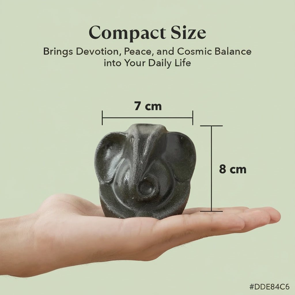 VASTUKOSHA Pyrite Ganesha idol held in a hand, showing compact 7cm by 8cm size for home or office decor.