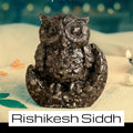 VASTUKOSHA Rishikesh Siddh Pyrite owl figurine, a metallic dark stone carving for wealth, wisdom, and prosperity.
