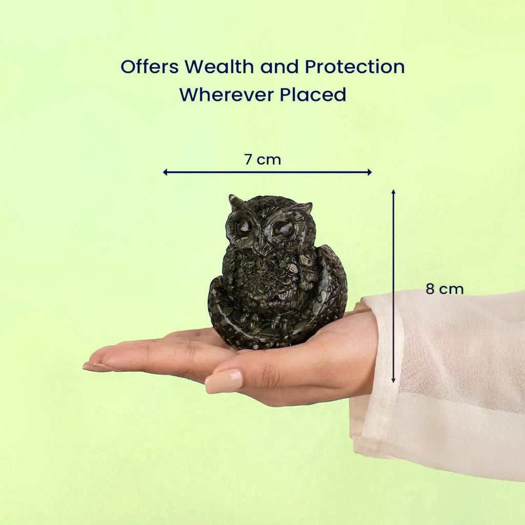 VASTUKOSHA Rishikesh Siddh Pyrite Owl figurine held in a hand, symbolizing wealth and protection.