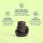 VASTUKOSHA Rishikesh Siddh Pyrite Owl figurine in dark resin with natural pyrite finish for wealth and Vastu energy