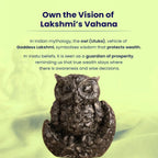 VASTUKOSHA Rishikesh Siddh Pyrite Owl statue for wealth and wisdom, featuring detailed carved stone owl figurine