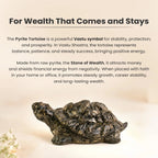 VASTUKOSHA Pyrite tortoise figurine with metallic luster, symbolizing Vastu prosperity and stability for home decor.