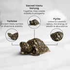 VASTUKOSHA Maha Ashtlakshmi Siddh Pyrite Tortoise figurine, a Vastu symbol for wealth, stability, and prosperity.