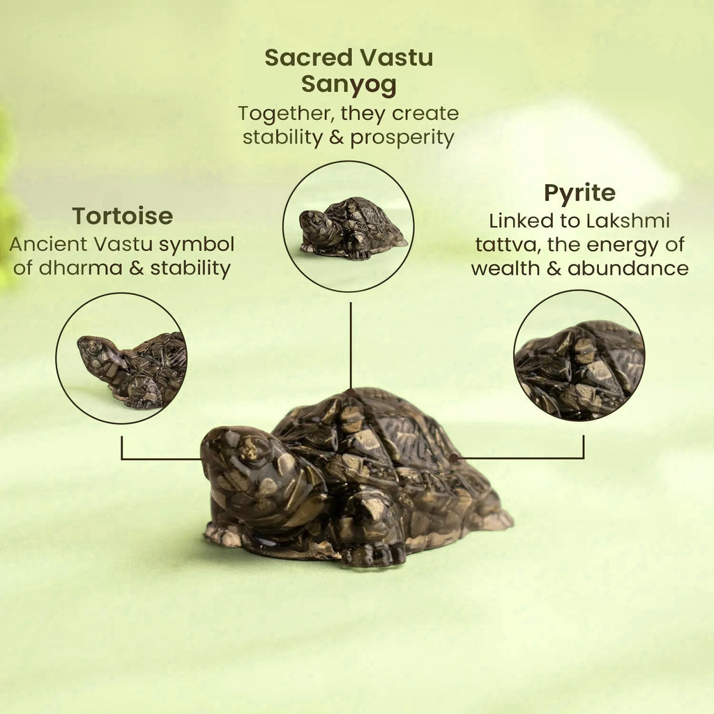 VASTUKOSHA Rinmukteshwar Siddh Pyrite Tortoise for Vastu, wealth, and prosperity, featuring detailed stone texture.