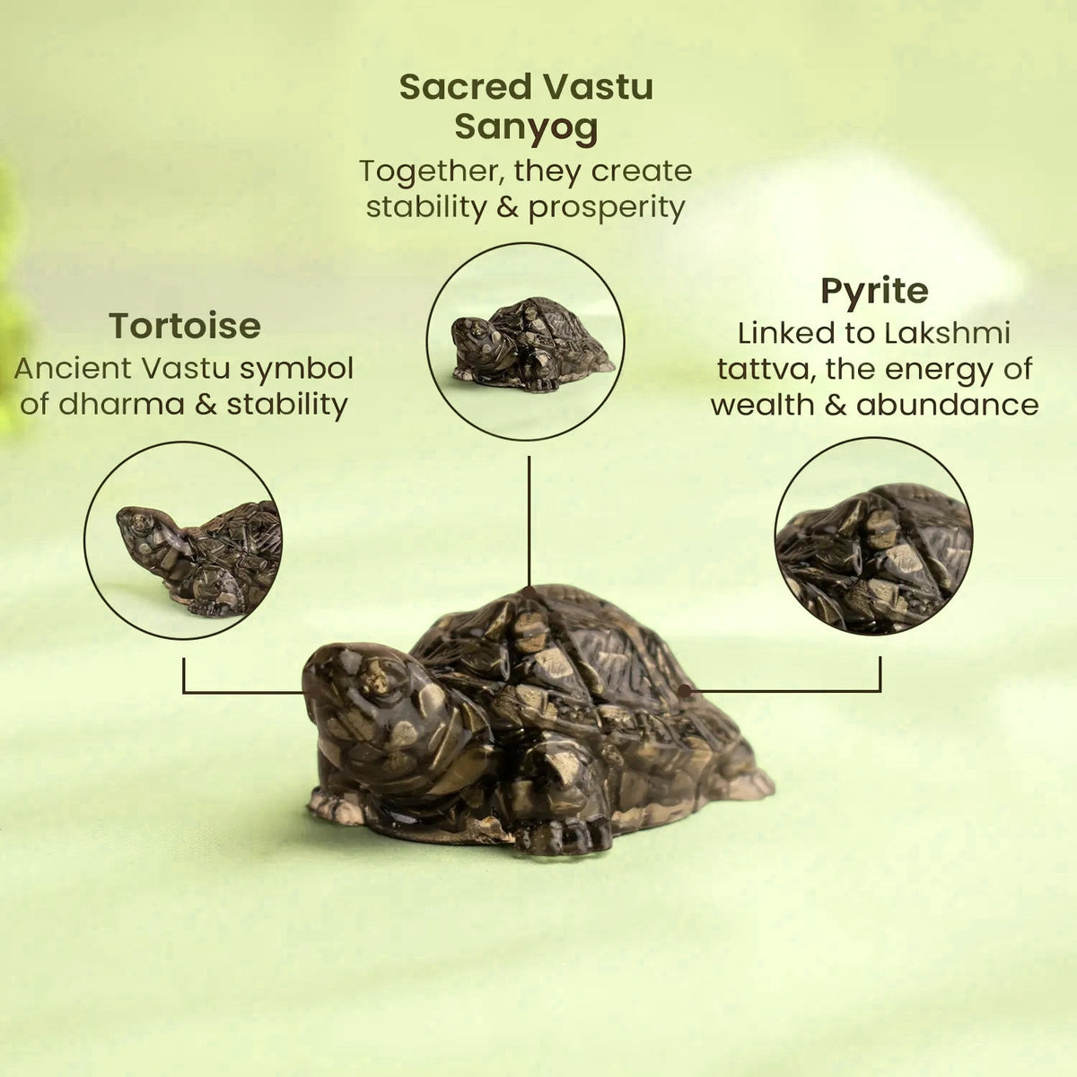VASTUKOSHA Rinmukteshwar Siddh Pyrite Tortoise for Vastu, wealth, and prosperity, featuring detailed stone texture.