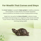 VASTUKOSHA Rinmukteshwar Siddh Pyrite Tortoise for Vastu, wealth, and prosperity in a natural stone finish.
