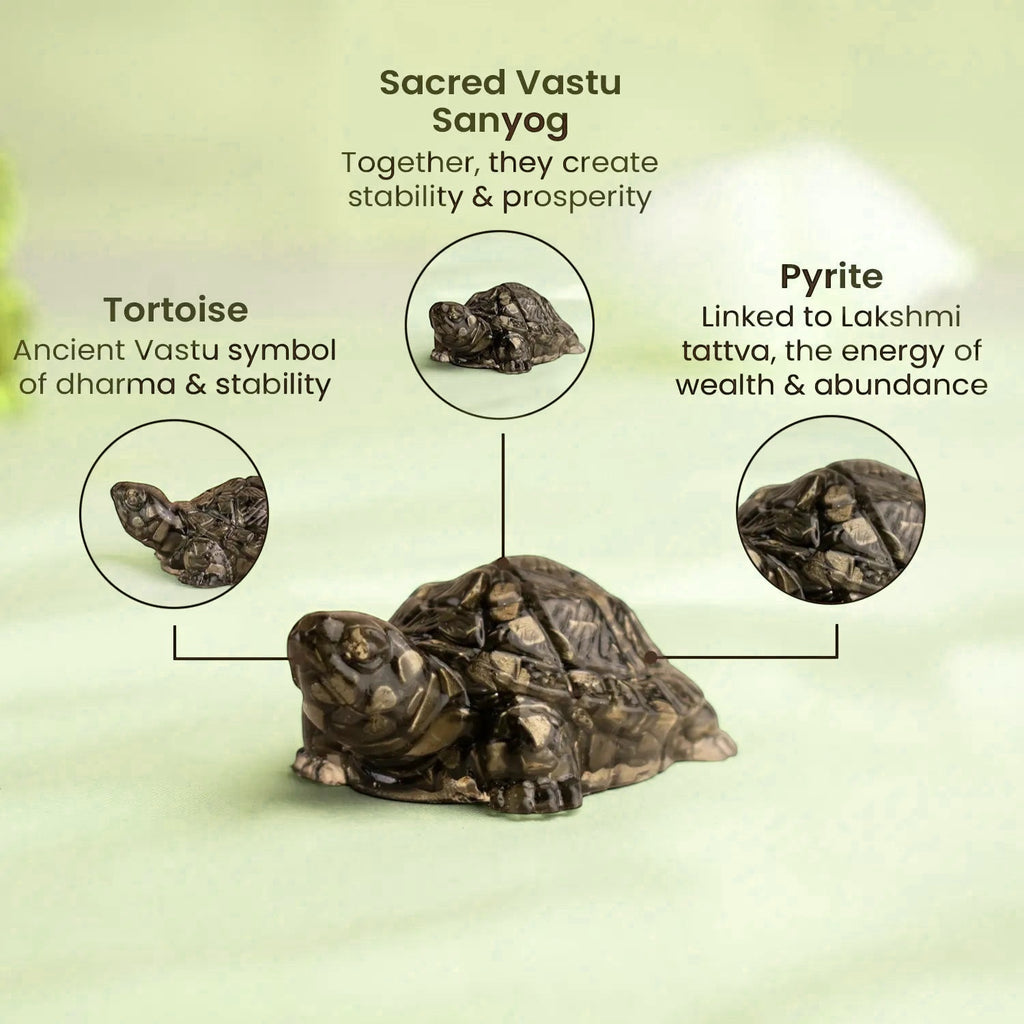 VASTUKOSHA Rishikesh Siddh Pyrite Tortoise for Vastu, wealth, and stability, featuring detailed stone texture.