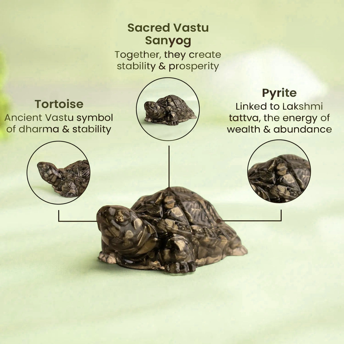 VASTUKOSHA Rishikesh Siddh Pyrite Tortoise for Vastu, wealth, and stability, featuring detailed stone texture.