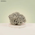 VASTUKOSHA 1kg raw pyrite stone with scolecite chunks, featuring a metallic luster for home and office display.