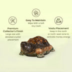 VASTUKOSHA Rinmukteshwar Siddh Dhan Yog Tortoise in a large size with a detailed crystal finish for Vastu wealth
