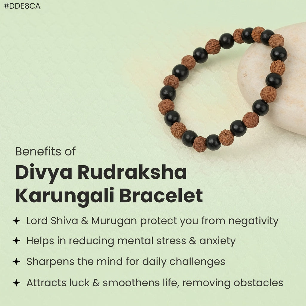 VASTUKOSHA Divya Rudraksha and Karungali bead bracelet featuring alternating brown textured and smooth black beads
