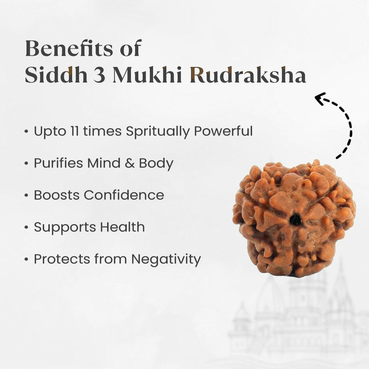 VASTUKOSHA Siddh 3 Mukhi Rudraksha bead from Nepal with natural brown texture and spiritual benefits list