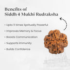 VASTUKOSHA Siddh 4 Mukhi Rudraksha bead from Nepal, featuring natural texture and deep brown colour for spiritual practice.