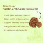 VASTUKOSHA Siddh Nepal origin Garbh Gauri Rudraksha bead with natural textured surface for spiritual practice