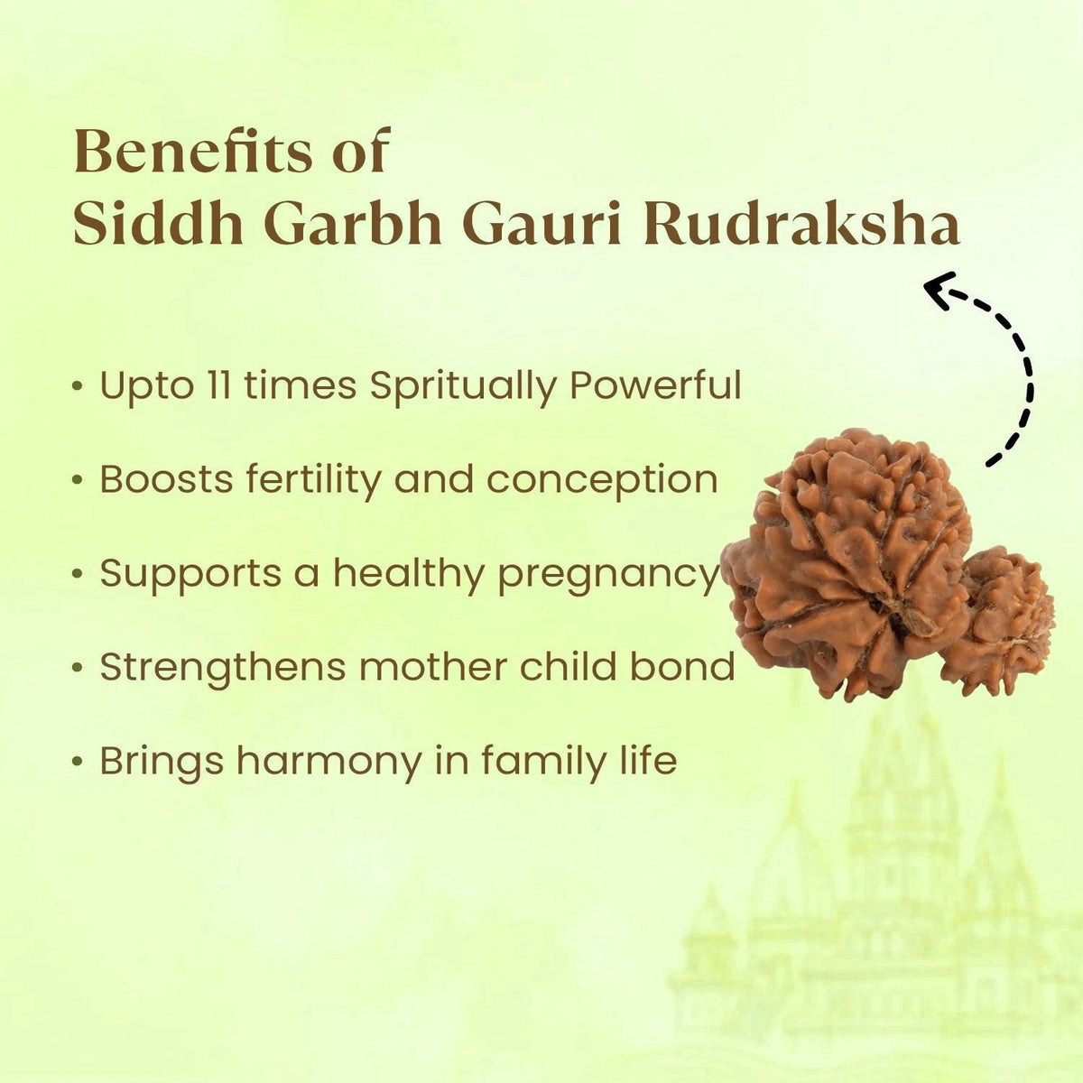 VASTUKOSHA Siddh Nepal origin Garbh Gauri Rudraksha bead with natural textured surface for spiritual practice