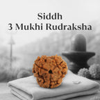 VASTUKOSHA Siddh Nepal origin 3 Mukhi Rudraksha bead with natural textured surface resting on a soft cloth