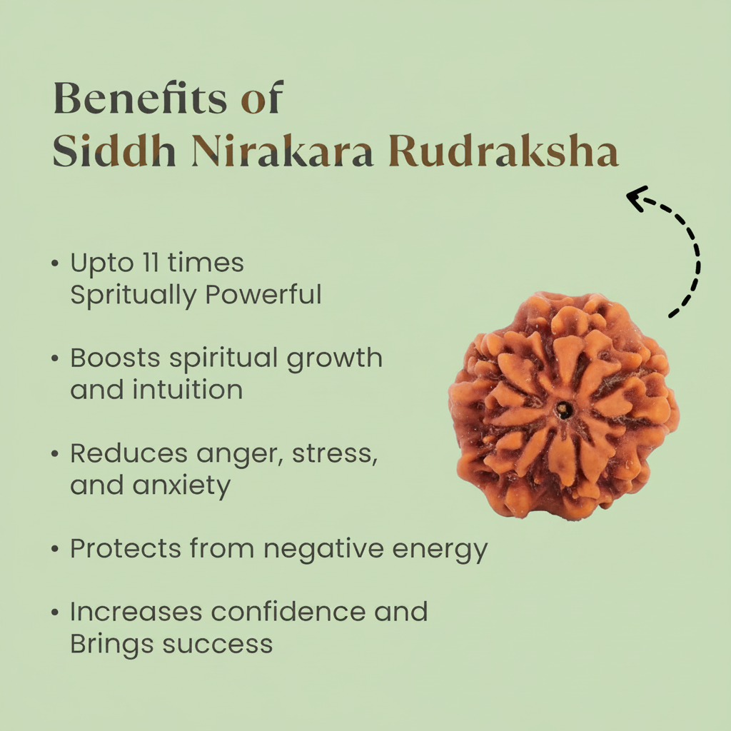VASTUKOSHA Siddh Nepal Origin Nirakar 0 Mukhi Rudraksha bead with detailed surface texture on a light green background.