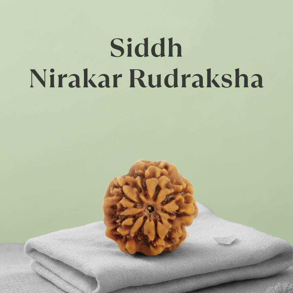 VASTUKOSHA Siddh Nepal origin Nirakar 0 Mukhi Rudraksha bead resting on a soft cloth for spiritual meditation