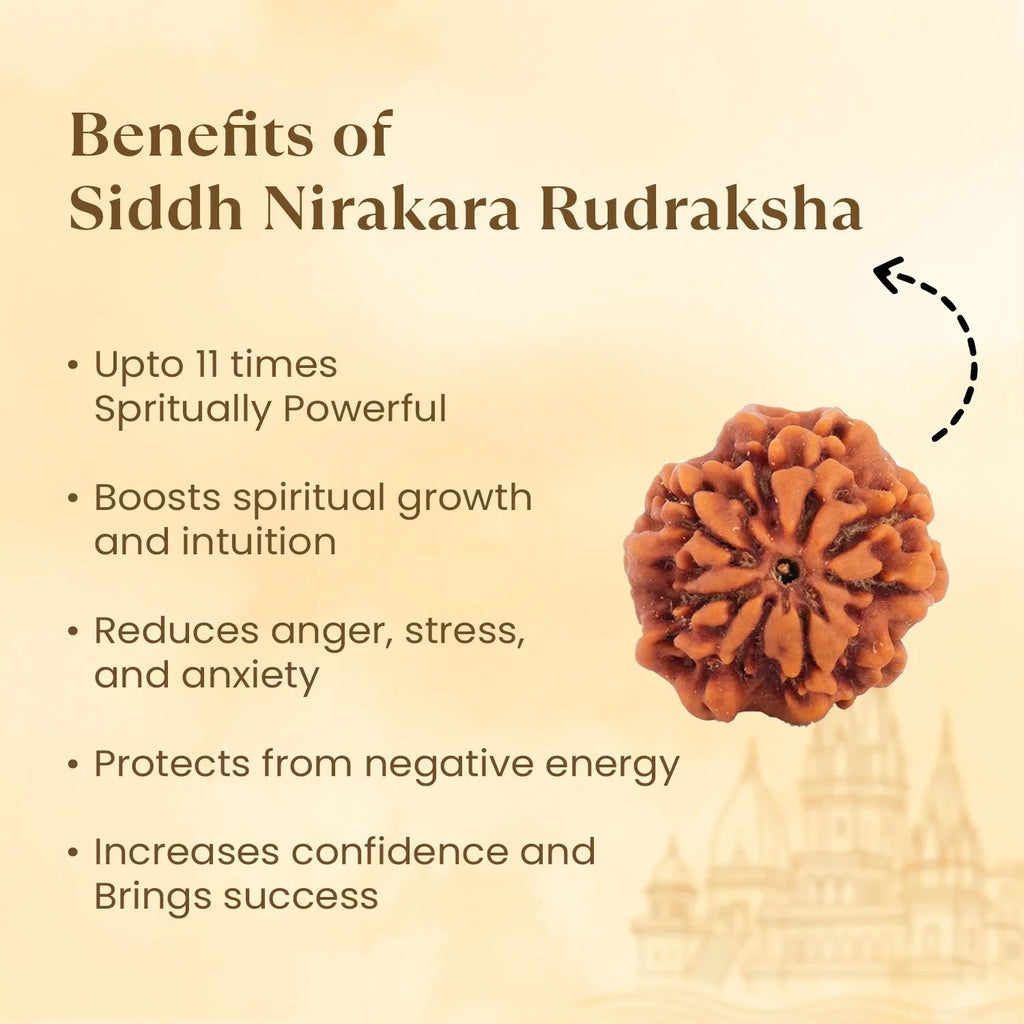 VASTUKOSHA Siddh Nirakara Rudraksha bead with natural brown texture and intricate surface patterns for meditation