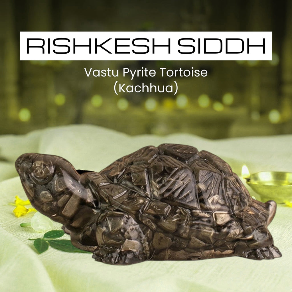 VASTUKOSHA Rishikesh Siddh Pyrite Tortoise figurine for Vastu, wealth, and protection on a white cloth background.