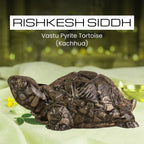 VASTUKOSHA Rishikesh Siddh Pyrite Tortoise figurine for Vastu, wealth, and protection on a white cloth background.