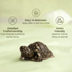 VASTUKOSHA Rishikesh Siddh Pyrite Tortoise for Vastu, featuring detailed craftsmanship and authentic pyrite stone.
