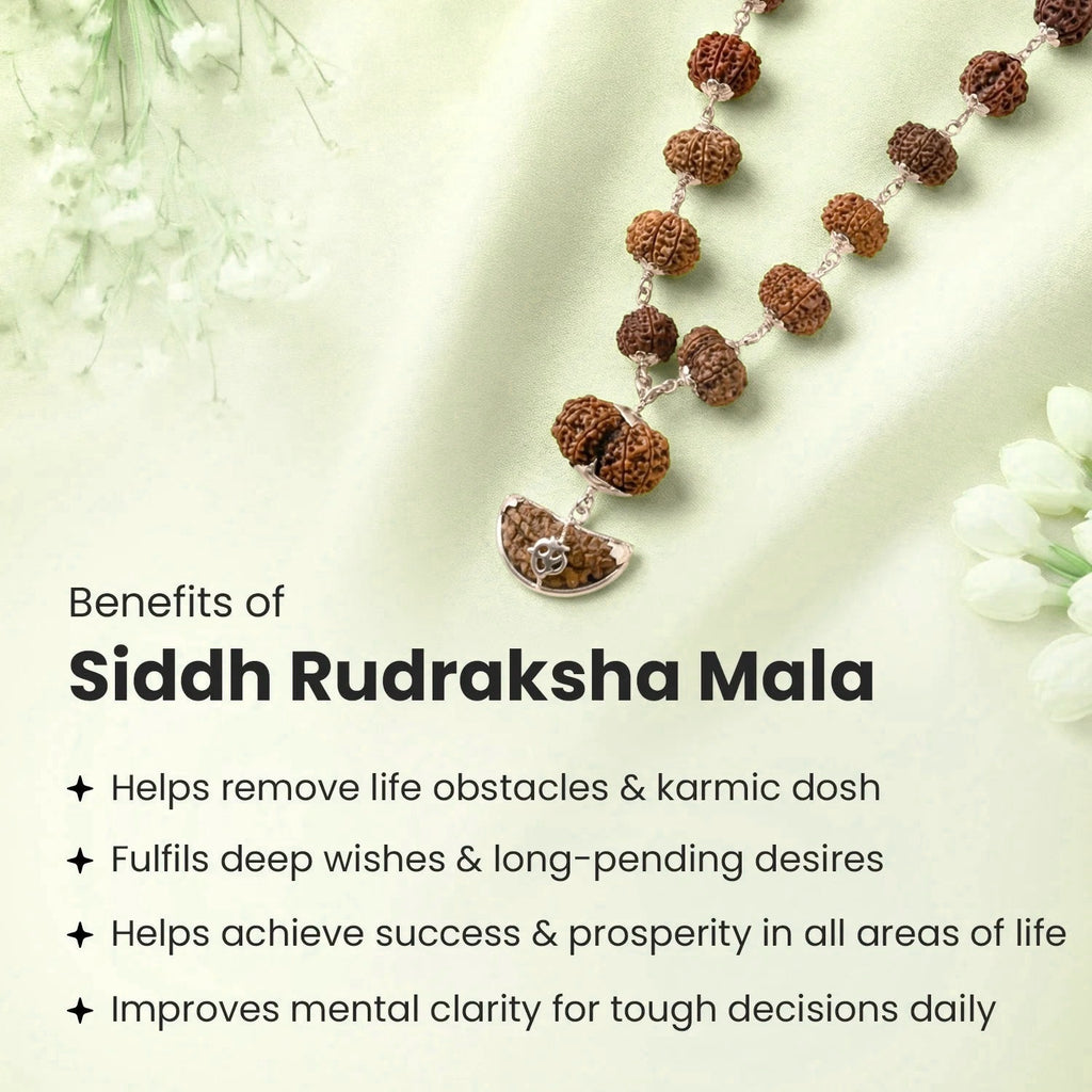 VASTUKOSHA 1-14 Mukhi Siddh Rudraksha Mala with authentic Nepali beads and 925 silver caps on a soft fabric background.