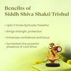 VASTUKOSHA Siddh Shiva Shakti Trishul featuring an Om symbol and damru, designed for spiritual protection and focus.