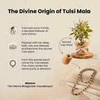 VASTUKOSHA Vishnu Tulsi Mala featuring natural wood beads and silver-plated caps, displayed with a sacred Tulsi plant.